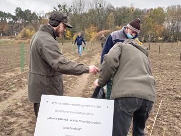 Kolejny sad w ramach projektu 